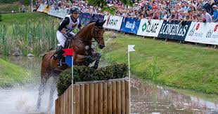 Check spelling or type a new query. Vielseitigkeitsreiten Luhmuhlen 2018 Todlicher Pferdeunfall Uberschattet Sieg Von Julia Krajewski