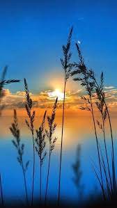 Nature Evening Wallpaper Nature Photography Beautiful Nature Nature Pictures