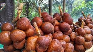 Mama sering tinggal di rumah sedangkan papa adalah orang yang sibuk dengan bisnisnya. Ibu Hamil Boleh Makan Buah Cempedak Seputar Buah