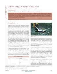 Semoga allah memberkati sumbangan tersebut dan diucapkan jutaan terima kasih. Pdf Catfish Stings A Report Of Two Cases