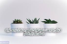 صور عن الحياة عبارات عن الحياة مكتوبة علي صور معبرة Planter Pots Planters