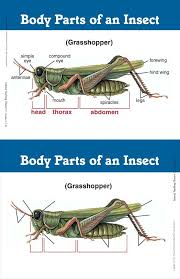 Pin By Stacy Martin On School Shopping List Homeschool Science Abeka Homeschool 6th Grade Science
