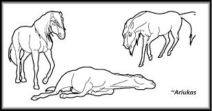 Maybe you would like to learn more about one of these? Cimarron Spirit Horse Coloring Pages 846 X 1000 Gif 48 Kb F5noworld