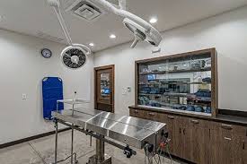 From preventive health care services to advanced diagnostic and surgical services, our doctors and staff are trained to manage all of your pet's needs. 2019 Dvm360 Hospital Design Competition People S Choice Award Winner El Paso Animal Hospital