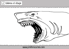 Check spelling or type a new query. Dibujos De Tiburones Para Colorear