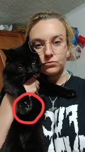 Help bring this baby home, missing since 6pm last night