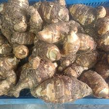 Buy Dimapur YamKochuArviColocasia online at best price | The Northeast  Shop