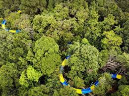 Jika kita bercuti secara bajet, lokasi homestay sekitar kawasan teluk bahang boleh dijadikan pilihan. Bercuti Di Teluk Bahang Penang Percutian Bajet