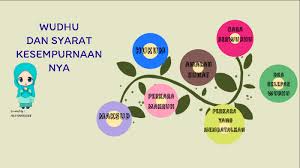Terdapat beberapa perkara yang akan membatalkan wudhu. Wudhu By Aufa Hannan