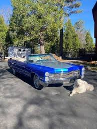 Image result for Caribbean Aqua 1966 Cadillac