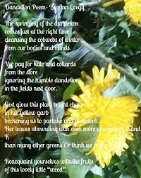 Pin On Family Focus Blog