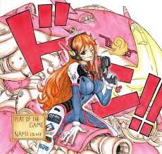 one piece ゾロナミ 海賊 如果