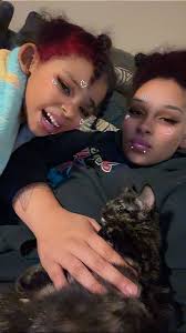 Lost kitten in Goodyear Heights area