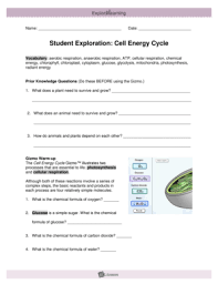 Access to all gizmo lesson materials, including answer keys. Cell Energy Cycle Gizmo Answer Key Fill Online Printable Fillable Blank Pdffiller