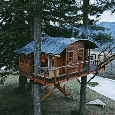 Man Builds Amazing Treehouse Home With Its Own Skatepark Maison Dans Les Arbres Modeles De Maison De L Arbre Et Belles Cabanes