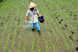 We did not find results for: Sebutkan Jenis Usaha Ekonomi Masyarakat Indonesia Dari Mulai Agraris Hingga Perindustrian Kelas 5 Tema 2 Portal Purwokerto