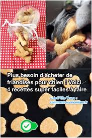Vous pourrez les conserver de 5 à 7 jours si vous les placez dans un récipient hermétique. Plus Besoin D Acheter De Friandises Pour Chien Voici 4 Recettes Super Faciles A Faire