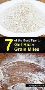 Since straw itch mites cannot successfully feed upon humans or stay on human skin, treatment of furniture and bedding isn't necessary. 7 Of The Best Tips To Get Rid Of Grain Mites