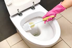 In the water, you must use a specific chemical compound to get rid of them. You Could Get Black Toilet Worms In Your Loo Even After It S Been Bleached But This Is How To Get Rid Of Them