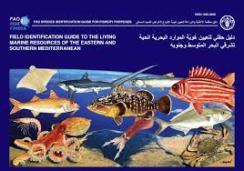 Pdf Field Identification Guide To The Living Marine