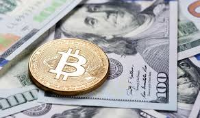 If you put how much bitcoin can i buy with 1000##if you put how much bitcoin can i buy with 1000,000 in bitcoin 5 years ago, here's what you'd.}}. If You Invested 1 000 In Bitcoin 8 Years Ago Here S How Much You D Have Now
