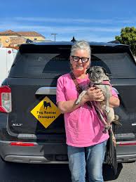 Pug Rescue of San Diego County