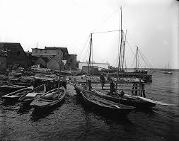 Old Photographs Of Canada From 1858 1935 Cape Breton Canada Photographer