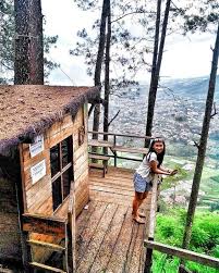 Rumah kayu di taman dayu pandaan. 9 Rumah Pohon Unik Yang Wajib Masuk Dalam List Liburan Seru
