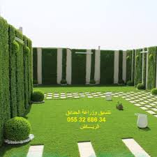 تصميم حدائق صغيره جدا تصميم حدائق صناعية تصميم حدائق طبيعية تصميم حدائق عشب صناعي تصميم حدائق شلالات garden design backyard design