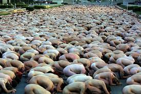 Spencer Tunick's nude photographs