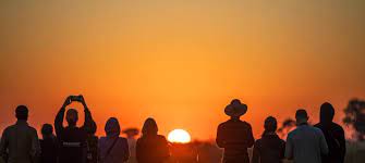 Our experience with touradar was excellent from start to end. 10 Best African Safari Tour Operators 2021 Tourradar