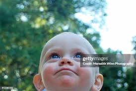 716 Meredith Austin Stock Photos, High-Res Pictures, and Images