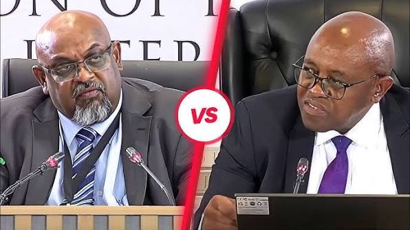 Kemi Behari Admits 'No Donation' Amid Julius Mkhwanazi Claims - justice Madlanga Probes