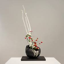 Selain bentuk yang unik dan bunga yang indah, tanaman ini mempunyai manfaat bagi kesehatan manusia. Seni Ikebana