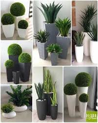 120 Minimalist Garden Design Ideas For Small Garden Page 16 Homeinspins Com Plant Decor Minimalist Garden Outdoor Gardens Design