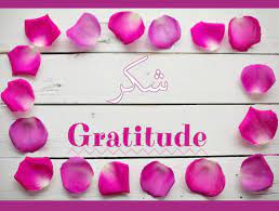 Looking for the meaning of gratitude in hindi? The Word Collector 2 8 Words Related To Gratitude In Arabic