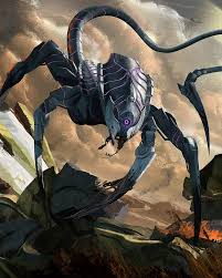 Image result for Monotes magnificus