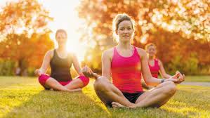 hatha vinyasa flow yoga for beginners