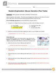 Mice can be stored in cages for future breeding, and the statistics of fur and eye color are reported every time a pair of mice breed. Mouse Genetics Gizmo Answer Key Pdf Mousegenetics2se Docx Name Date Student Exploration Mouse Genetics Two Traits Vocabulary Allele Genotype Phenotype Probability Punnett Square Note To Course Hero Mouse Genetics Gizmo