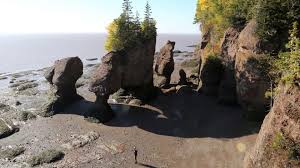 the phenomenal bay of fundy your discovery bbc storyworks