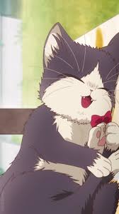 Sakamoto truly is one of the best anime cat characters. Pin By Phatchaya Phunkeson On à¹à¸¡à¸§ Anime Wallpaper Anime Cat Anime Baby