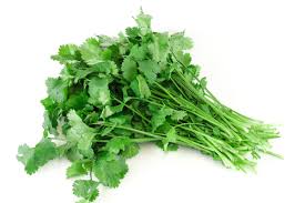 Adding parsley to your dog's diet is smart! Can Dogs Eat Cilantro Yes Here S What To Know Dogcarelife