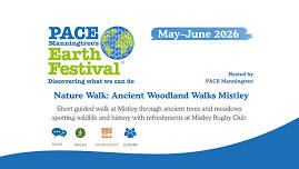 Nature Walk: Ancient Woodland Walks Mistley
