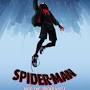 Spider-Man: Into the Spider-Verse from www.rottentomatoes.com