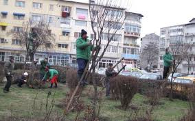 Direcţia de dezvoltare servicii publice focşani, județul vrancea organizează concurs/examen pentru ocuparea pe perioadă nedeterminată a funcțiilor contractuale de execuție. DirecÈia De Dezvoltare Servicii Publice FocÈani Mai Are Nevoie De 3 Muncitori Vrancea24