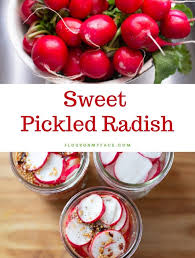 Habanero Apricot Jelly Sweet And Spicy Recipe Pickled Radishes Sweet Pickles Radish Recipes