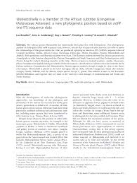 Image result for Felicia clavipilosa