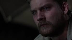 Animal Kingdom (2016) by Chell