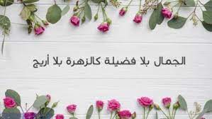 صور عن الحقد والكراهية عبارات عن الكراهيه والحقد مكتوبة علي صور صور عالية الجودة photo image my saves