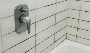 Compare multiple local service providers & hire the best. How To Clean Grout In Shower Simple Hacks To Keep Your Bathroom Tiles Gleaming Express Co Uk